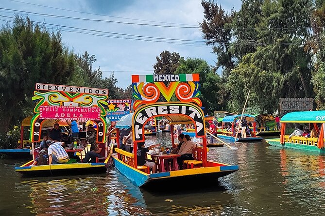 Mexico City: Xochimilco, Coyoacán and University City Tour - Exploring Coyoacán’s Historic Charm and Frida Kahlo