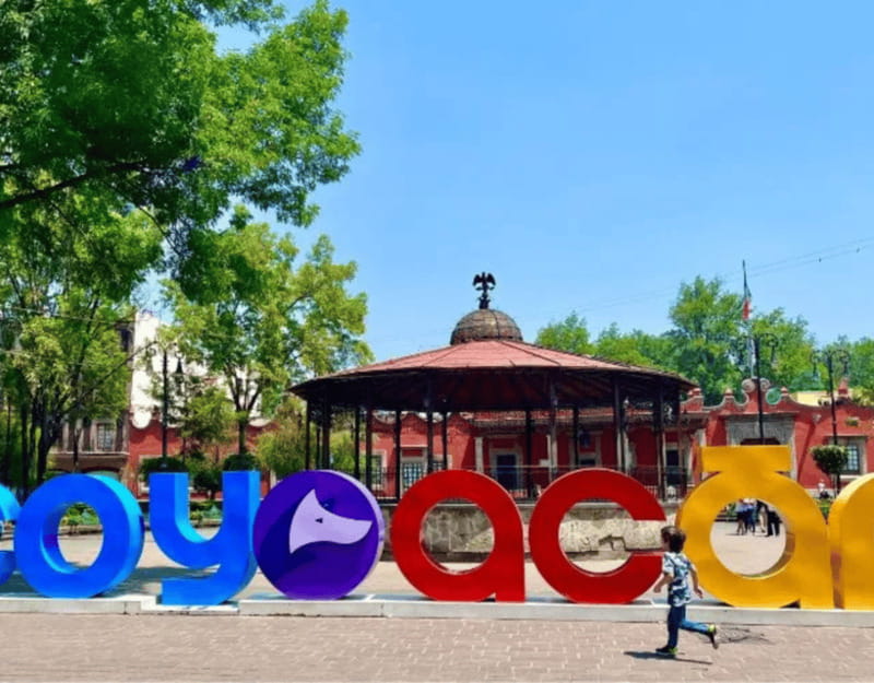 Mexico City Xochimilco Tour (Private & All-Inclusive) - The Unique Experience of Xochimilco’s Floating Gardens