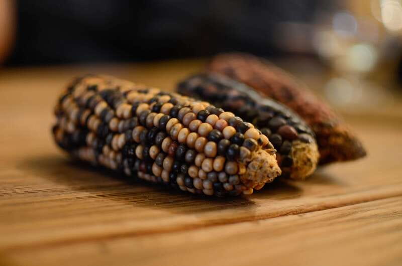 Mexico City: Zocalo Tacos Tour by Michelin-Star Chef Torres - Mexico City: Zocalo Tacos Tour by Chef Vicente Torres – Final Thoughts