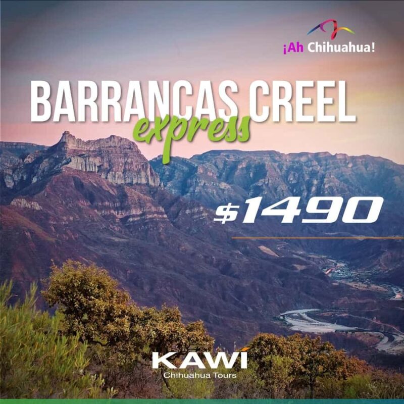 Mexico Copper Canyon: Excursion Barrancas Express - Comfortable, Modern Transportation for a Long Day