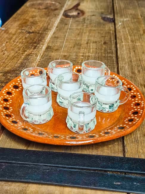 Mexico Off The Beaten Track/ Street Food Bike Tour - Key Points