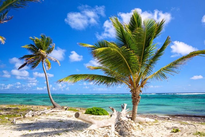 Mexico Private Transfer from Puerto Vallarta to Puerto Vallarta (PVR) Airport - Practical Booking and Cancellation Policies