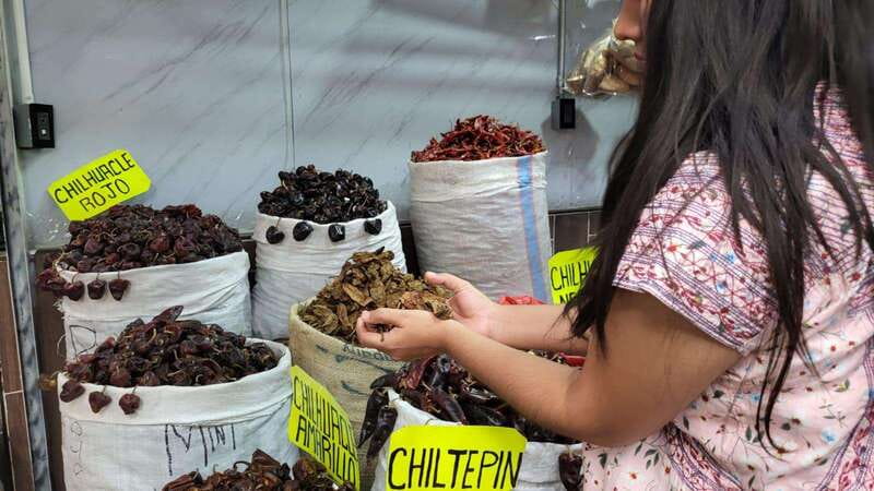 Mexico: Salsa Making Class in a Market with a Chef - Discover Authentic Mexican Salsas in Oaxacas Market with a Skilled Chef