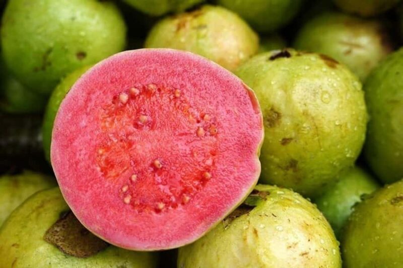 Mexico's Tropical Fruit Guided Tasting in Mexico City - Frequently Asked Questions