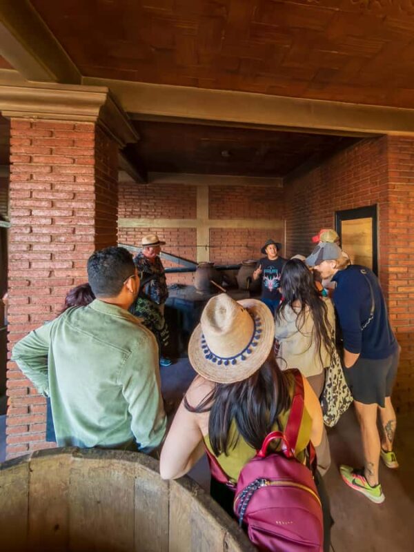 Mezcal, Agave, and Pulque Tour in Oaxaca - Key Points