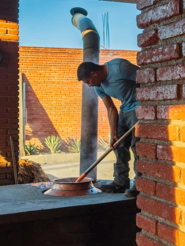 Mezcal, Agave, and Pulque Tour in Oaxaca - Exploring Agave Plantations in a Scenic Truck Ride