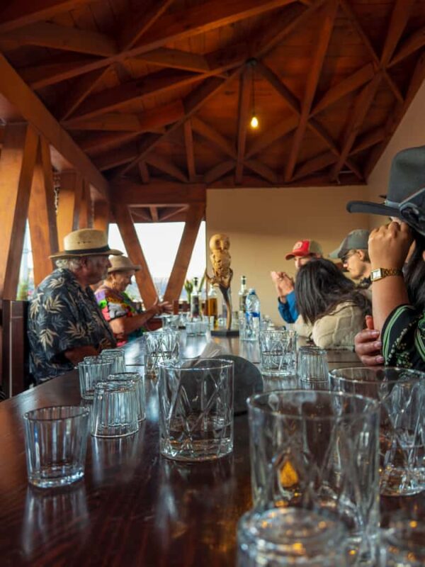 Mezcal, Agave, and Pulque Tour in Oaxaca - Practical Details: Duration, Logistics, and Recommendations