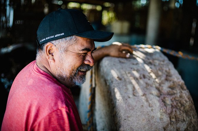 Mezcal Distillery Day Trip - Learning About Agave Cultivation Near Oaxaca
