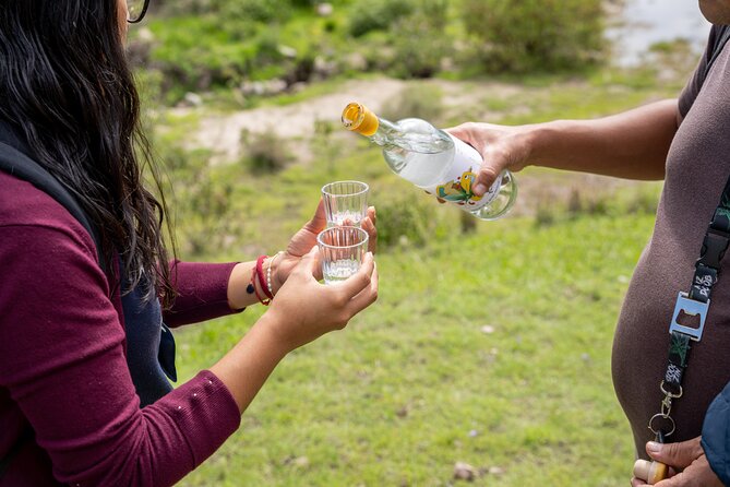 Mezcal Distillery Day Trip - Seasonality and Variability of the Experience