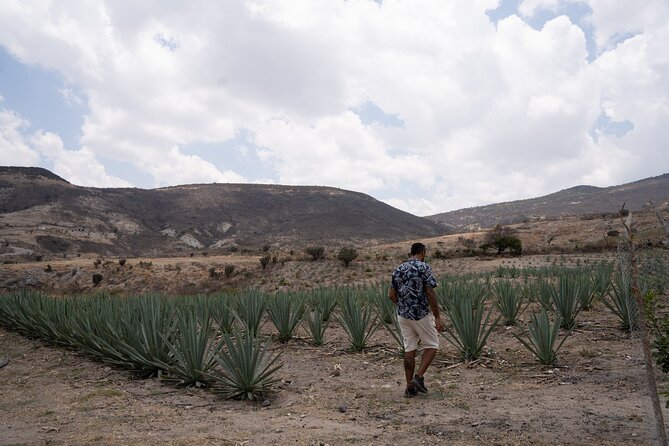 Mezcal Distillery Day Trip - Accessibility and Suitability