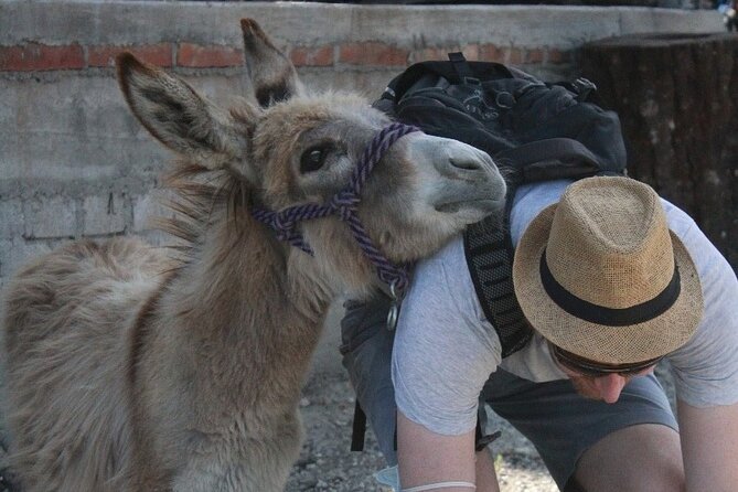 Mezcal Tour Oaxaca - Tasting and Light Lunch Are Included