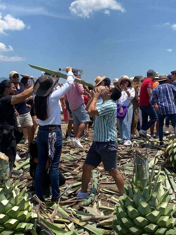 Mezcal Tour Oaxaca - Key Points