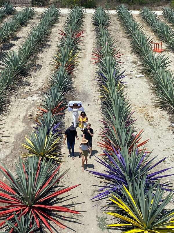 Mezcal Tour Oaxaca - Visiting a Traditional Mezcal Distillery