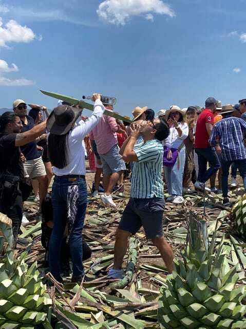 Mezcal Tour Oaxaca - Logistics and Group Size