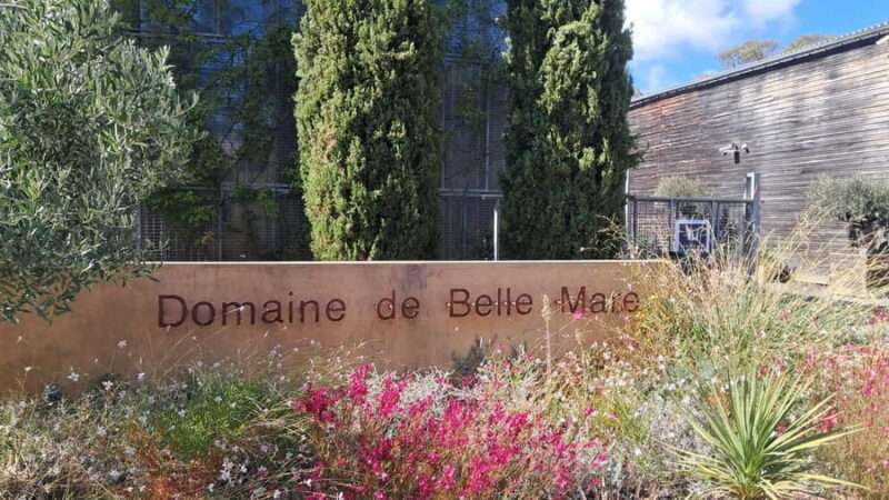 Mèze: Guided Tour of the Estate & Wine Tasting - Explore the Heart of a South of France Winery in Mèze