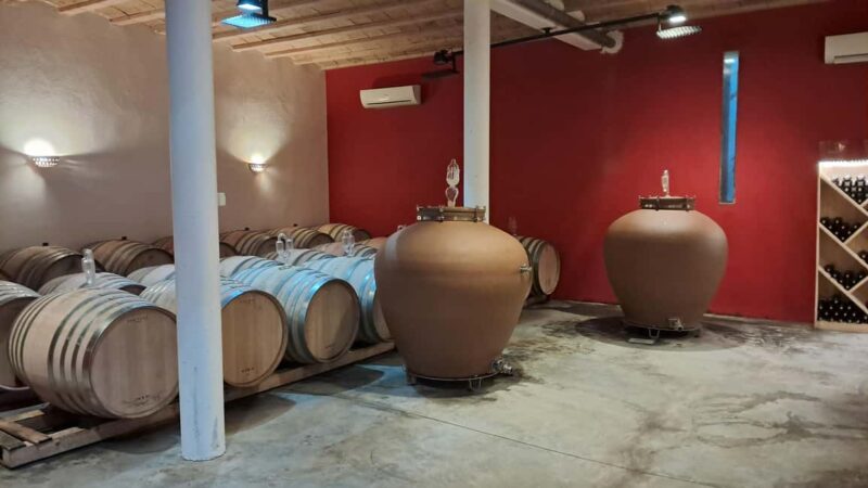 Mèze: Guided Tour of the Estate & Wine Tasting - Key Points