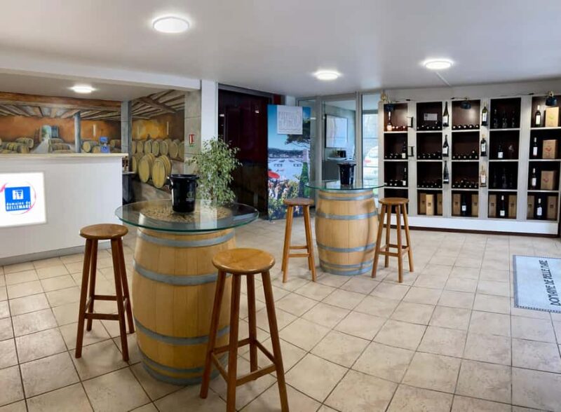 Mèze: Guided Tour of the Estate & Wine Tasting - Inside the Winery: From Grape to Glass