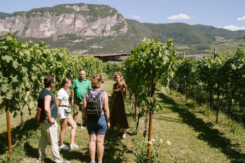 Mezzocorona: Teroldego Vineyard Tour and Wine Tasting - The Role of Climate and Altitude in Quality Wine Production