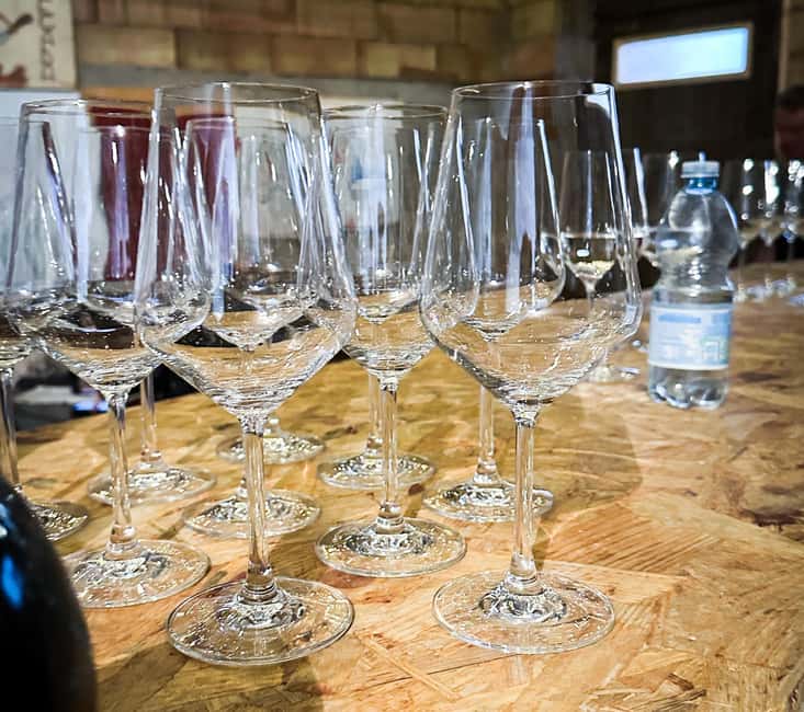 Mezzocorona: Teroldego Vineyard Tour and Wine Tasting - Practical Details: Meeting Point, Accessibility, and Group Size