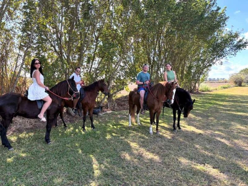 Miami ATV and Horseback Riding Combo Tour - Comparing Similar Experiences