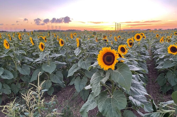 Miami ATV & Buggy Adventure- 5 Star Rated - Frequently Asked Questions