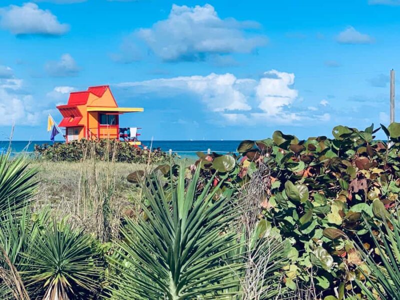 Miami Beach: 1-Hour Segway Glide - Highlights of the Tour Experience