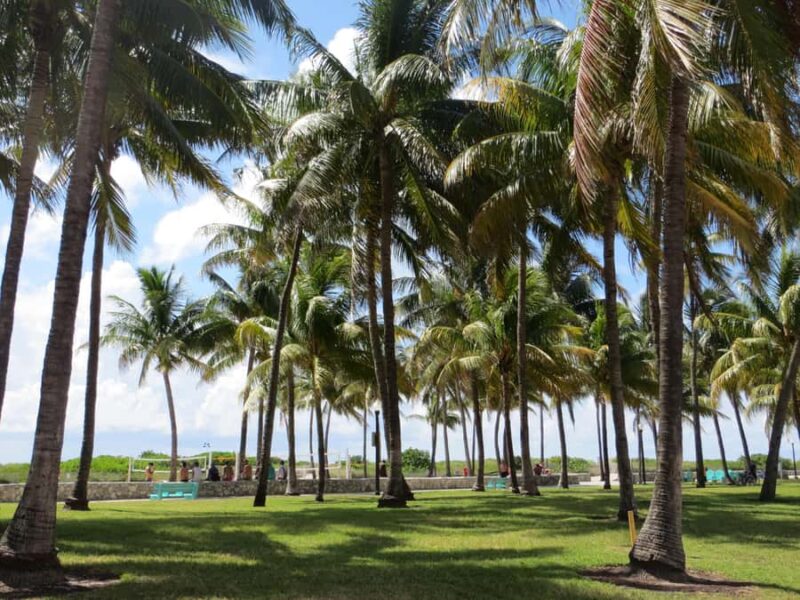 Miami Beach: 1-Hour Segway Glide - How This Tour Compares to Other Miami Experiences