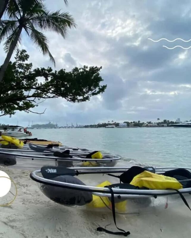 Miami Beach: Clear Kayak Tour or LED Glow Kayak Experience - Discover Miami Beach from a Unique Water Perspective