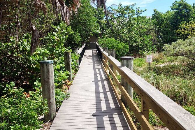 Miami Beach Eden Adventure - The Return Journey Along Bicycle-Friendly Ocean Drive