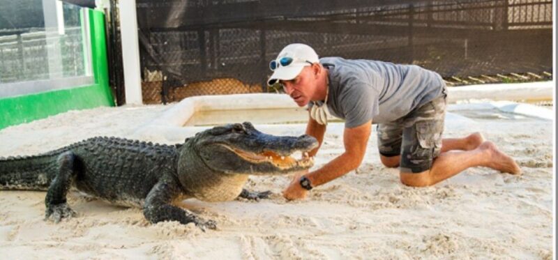 Miami Beach: Everglades Airboat Tours and Rides - What Makes the Airboat Ride in the Everglades Unique?
