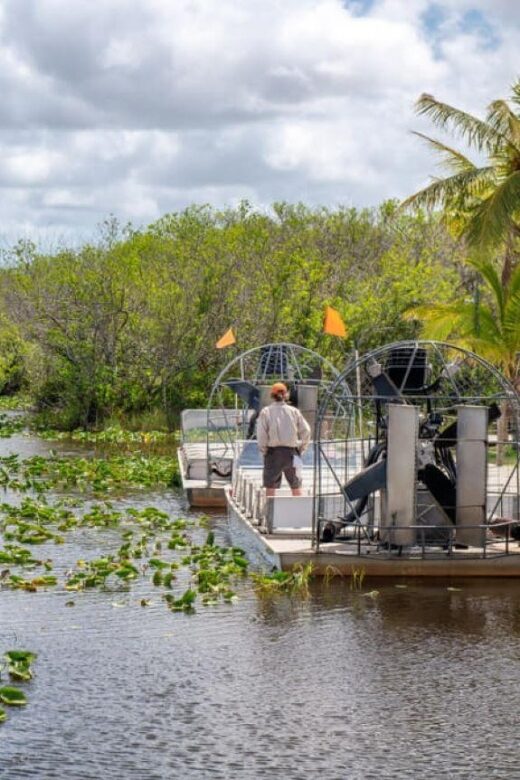 Miami Beach: Everglades Airboat Tours and Rides - Exploring the Everglades After the Boat Ride