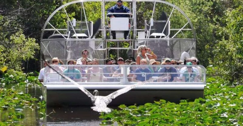 Miami Beach: Everglades Airboat Tours and Rides - Logistics and Booking Flexibility
