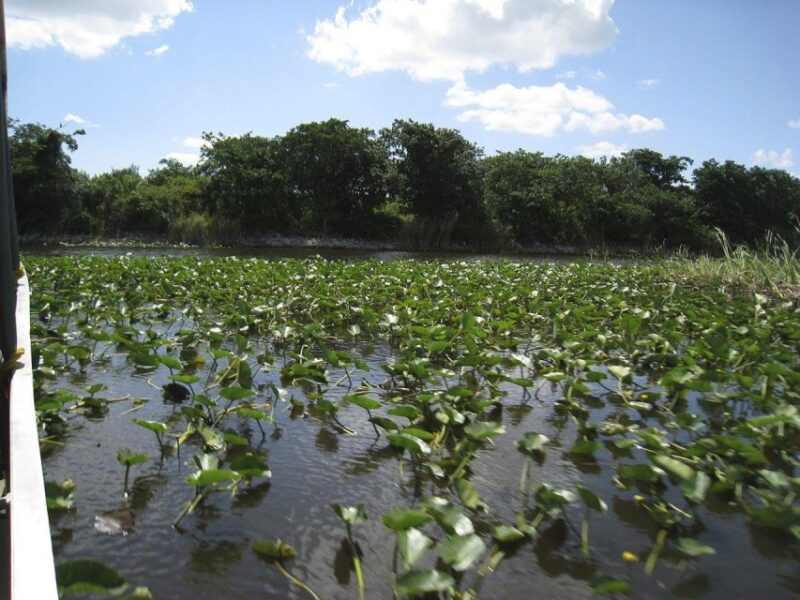 Miami Beach: Everglades Airboat Tours and Rides - Comparing This Tour to Other Everglades Excursions