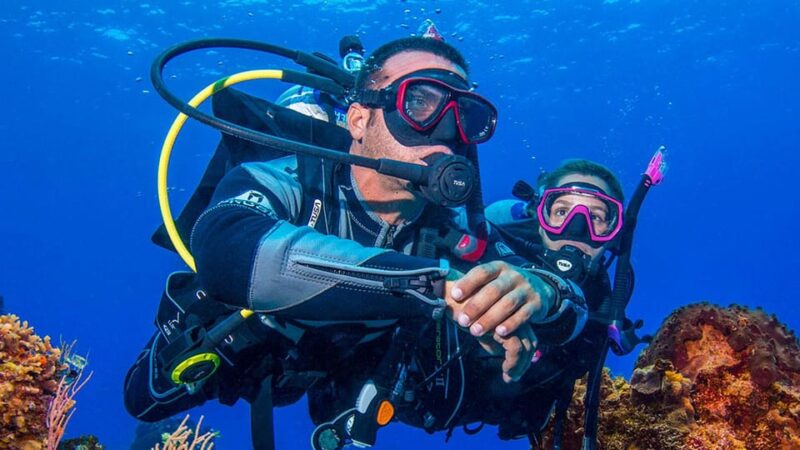 Miami Beach: Guided 2-Tank Reef and Wreck Dive Trip - Timing, Pacing, and When to Book