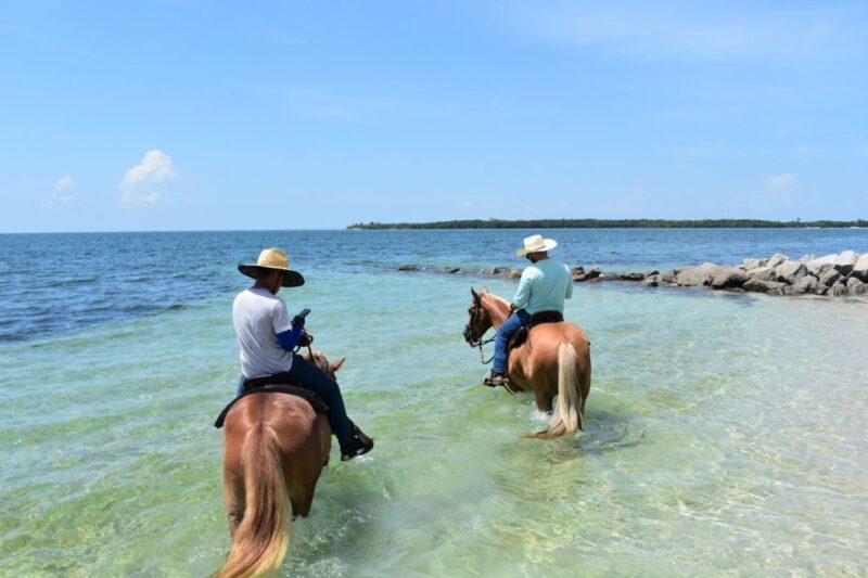 Miami: Beach Horse Ride & Nature Trail - Riding on the White Sands of the Beach