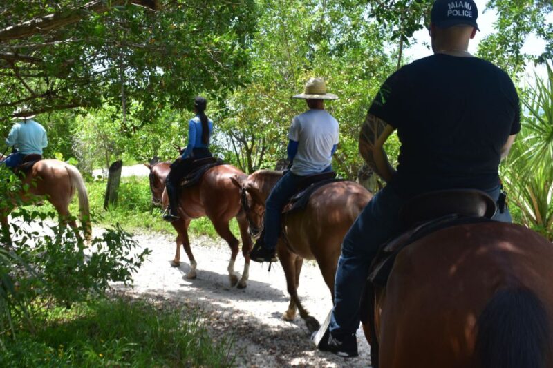 Miami: Beach Horse Ride & Nature Trail - Logistics and Planning for Your Horseback Adventure