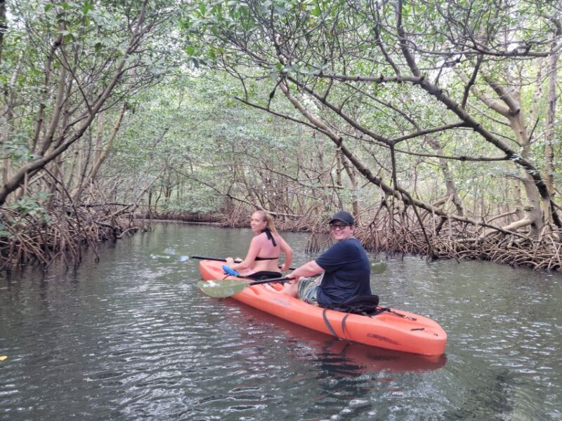 Miami: Beginner-Friendly Island Snorkeling by SUP or Kayak - Miamis Beginner-Friendly Paddle & Snorkel Adventure Starts at Bill Bird Marina