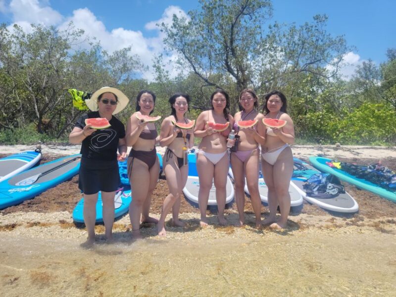 Miami: Beginner-Friendly Island Snorkeling by SUP or Kayak - Returning to Shore and End of the Tour