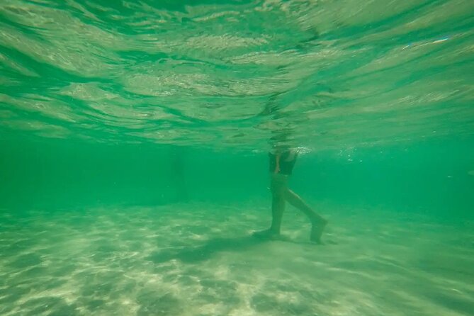 Miami Biscayne Bay Boat Tour with Sandbar Experience. - The Scenic Route and Natural Highlights