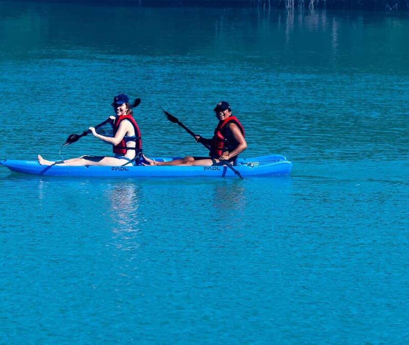 Miami: Biscayne Bay Sunset Paddle Tour - PADL Beach Club - What Wildlife Can Be Seen During the Tour?