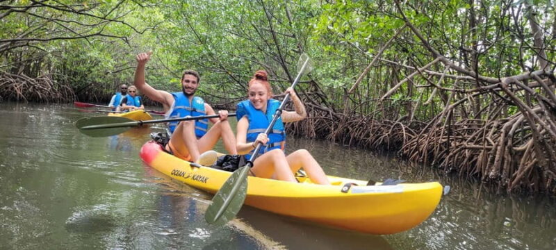 Miami: Biscayne Bay Ultimate Boat Tour with Kayak Experience - Scenic Biscayne Bay Boat Ride with Wildlife Encounters
