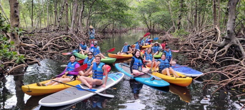 Miami: Biscayne Bay Ultimate Boat Tour with Kayak Experience - Raccoon Island: Wild Raccoons and Sea Activities
