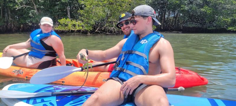 Miami: Biscayne Bay Ultimate Boat Tour with Kayak Experience - Who Will Appreciate This Biscayne Bay Tour?