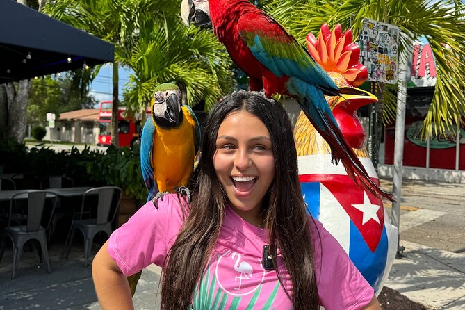 Miami Bus Tour - Flamingo Bus Miami Tours Open-Air Trolley - Starting Point and Group Size
