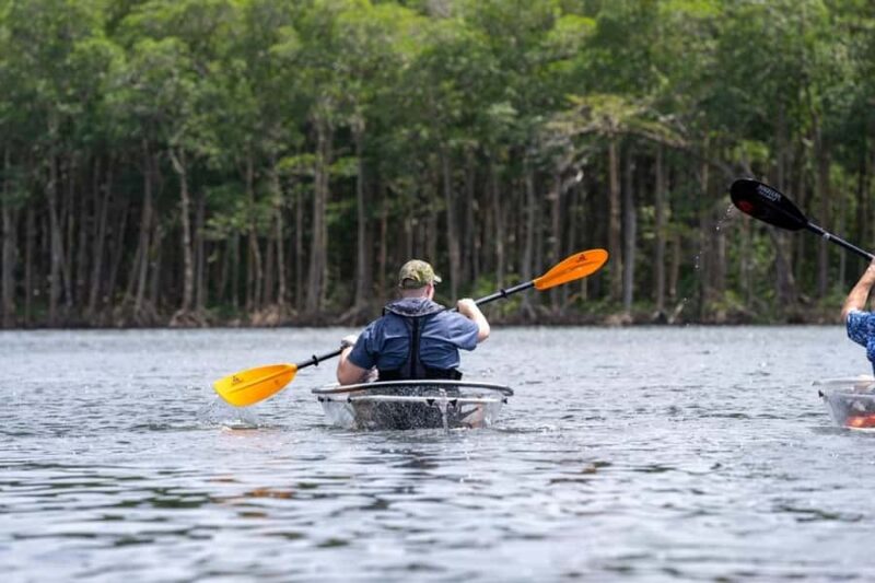Miami: Clear Kayak Eco Tour with Guide and Wildlife - Starting at East Greynolds Park: The Meeting Point for Natural Exploration