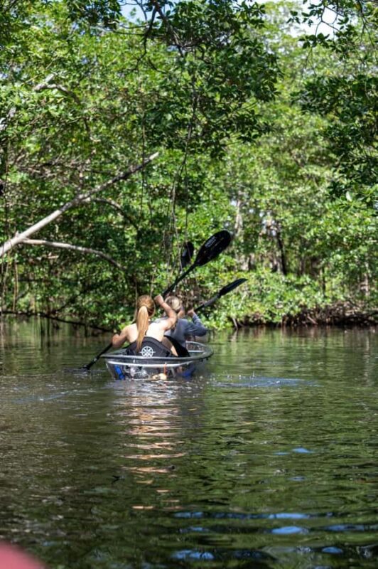 Miami: Clear Kayak Eco Tour with Guide and Wildlife - Booking, Cancellation, and Flexibility