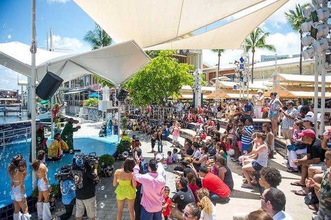 Miami Combo Tour (Everglades Tour + Boat Tour) - The Cost and Booking Tips