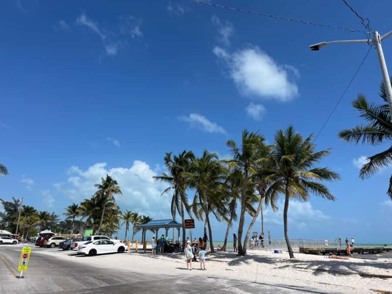 Miami: Day Tour of the Keys in a Convertible Mustang (French) - Key Points