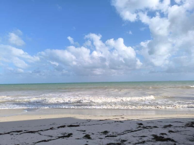 Miami: Day Tour of the Keys in a Convertible Mustang (French) - Timing, Pacing, and Practical Details