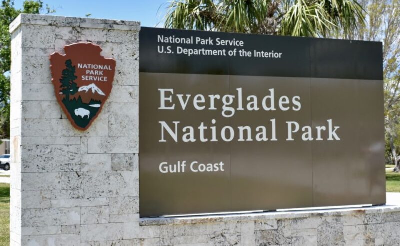 Miami: Everglades Airboat Ride and Tram Tour - Practical Details and Flexibility for Travelers
